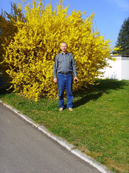 Владимир Tarassenko