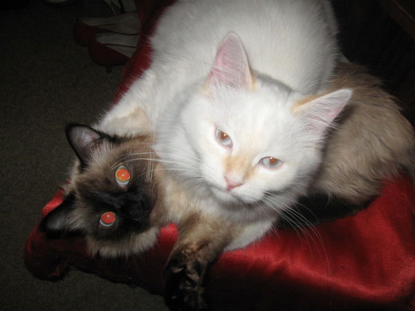 Любовь Лутченко