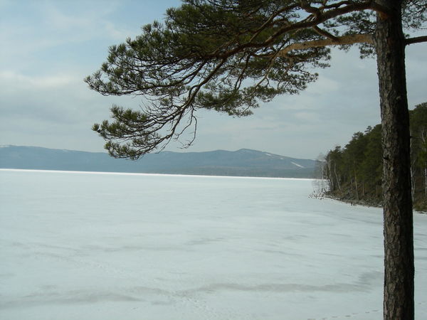 Роман Щербаков