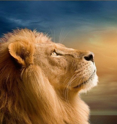 Павел Жучихин