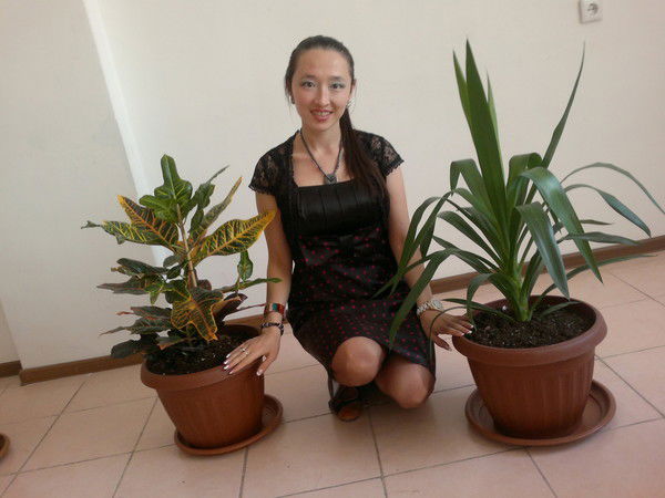 Курал Куралай