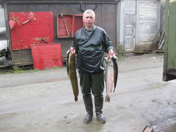 Николай Шапкин