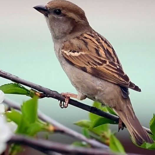 Валентина Наханбаева Зф