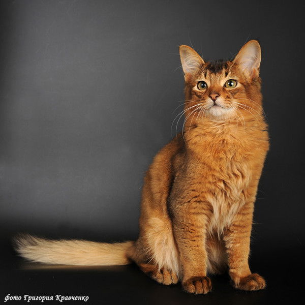 Ирина Мельникова