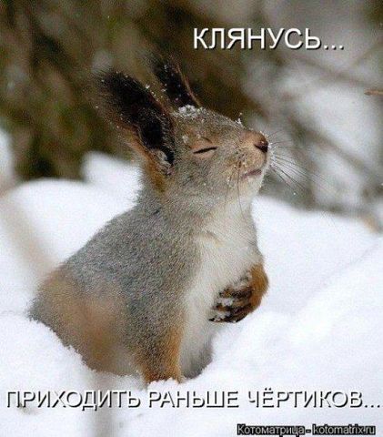 Антон Нечей