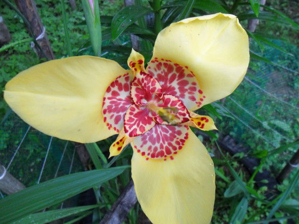 Наталья Чагина