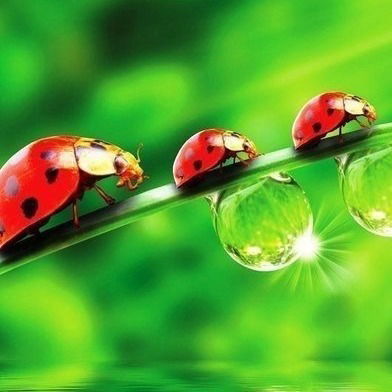 Кристина Ахметова