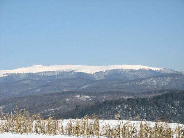 Татьяна Ласицкая
