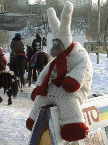 Неизвестно Неизвестно