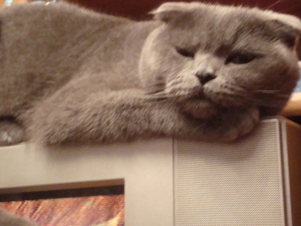 Николай Бирюков