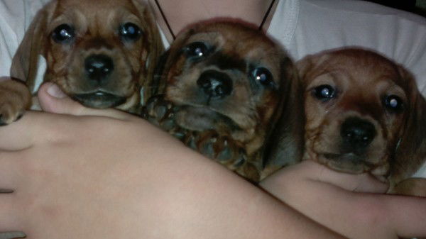 Анжела Заярнюк