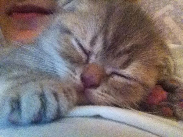 Светлана Гимуранова