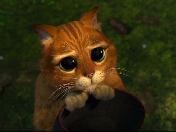 Галя Шатилова