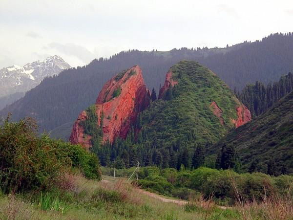 Алмаз Мусагожоев