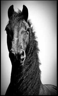 Андрей Целиков