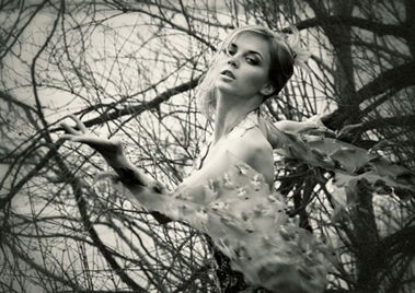 Наталья Горожанкина