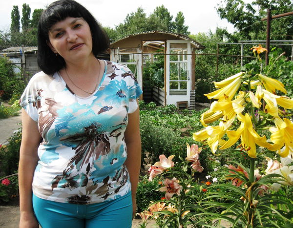 Елена Шипилева