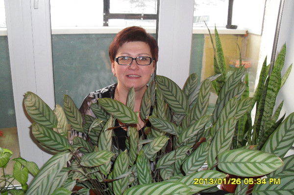 Светлана Зязева