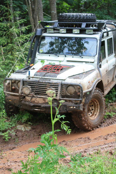 Роман Волегов