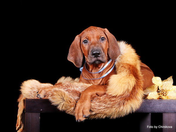 Татьяна Кирьянова