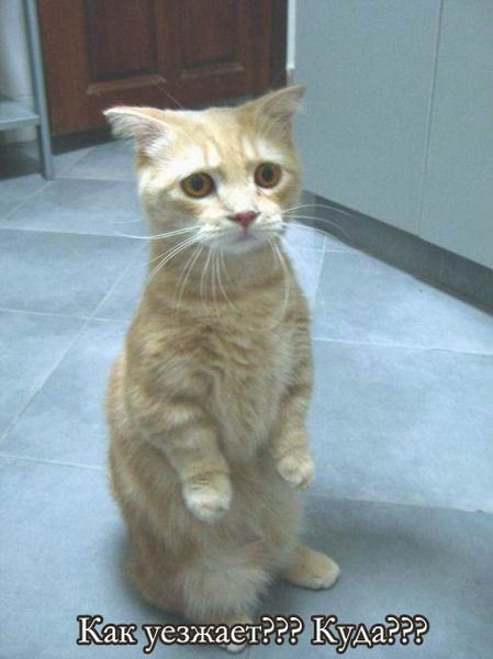 Сергей Седых