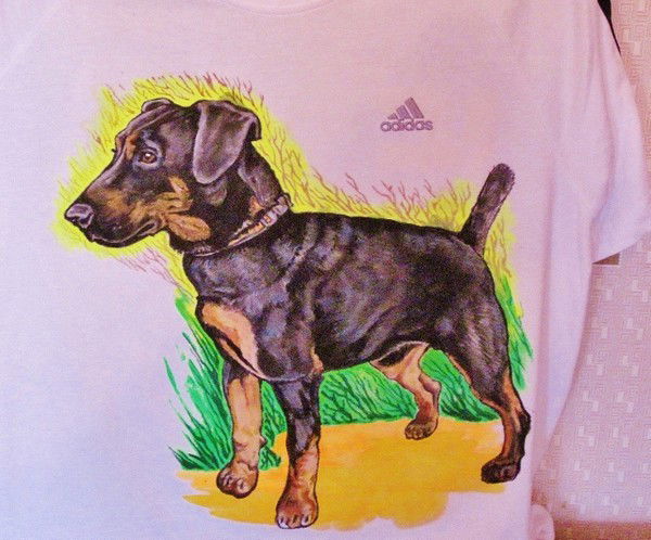 Полина Фарафонова