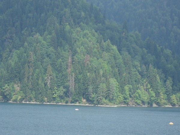 Игорь Мусальников