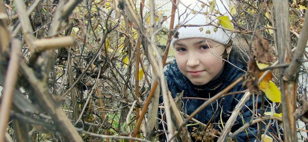 Валерия Стрелкова