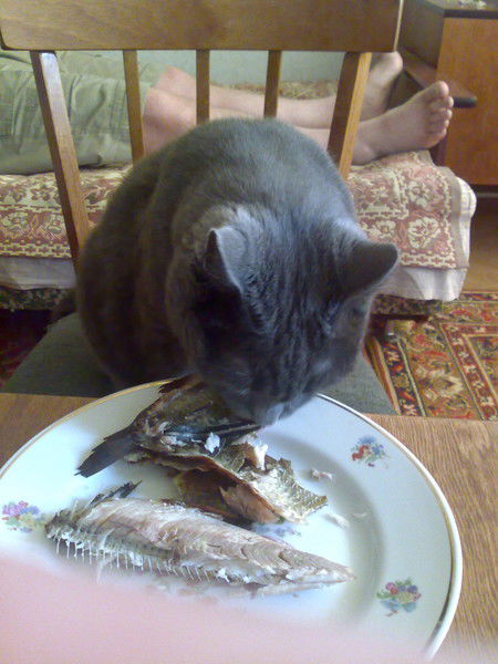 Нина Ракитина