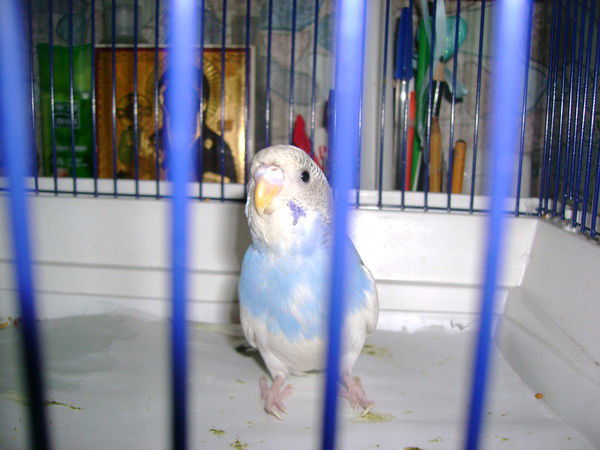 Настя Перфильева