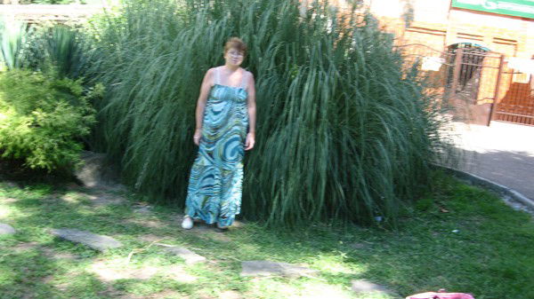 Ариадна Золотоверхова