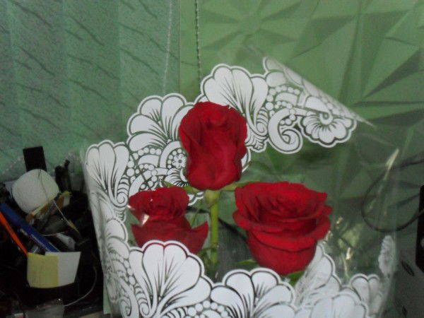 Анна Сергеева