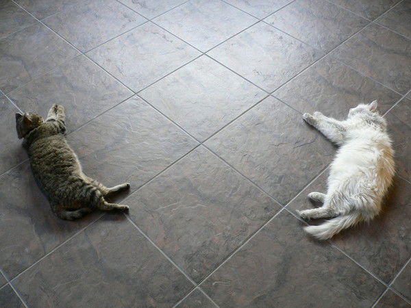 Алексей Ширматов