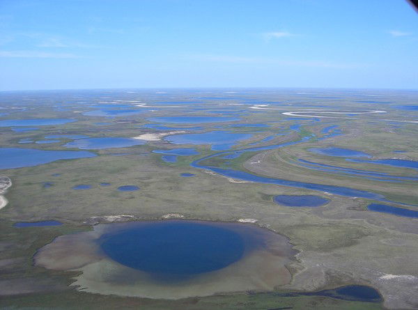 Сергей Усов