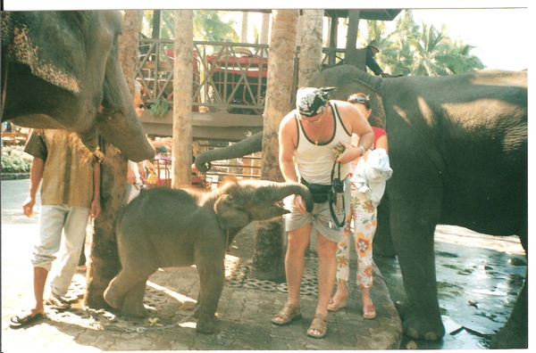 Андрей Яковлев