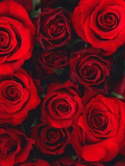 Кира Ильина