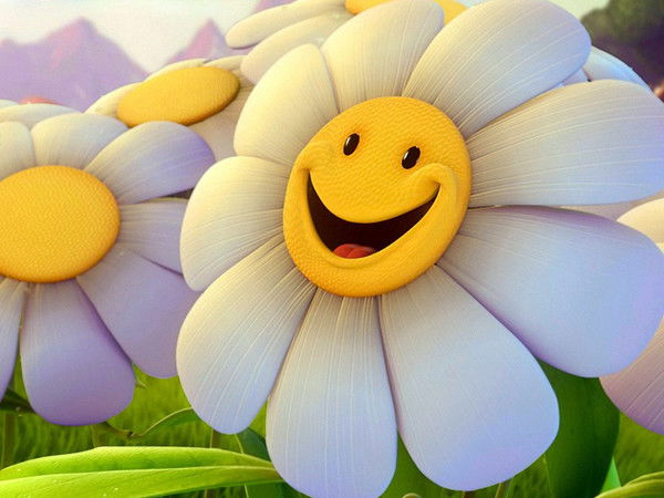 . Роммашка3.