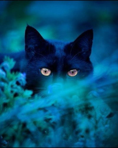 Катя Конова