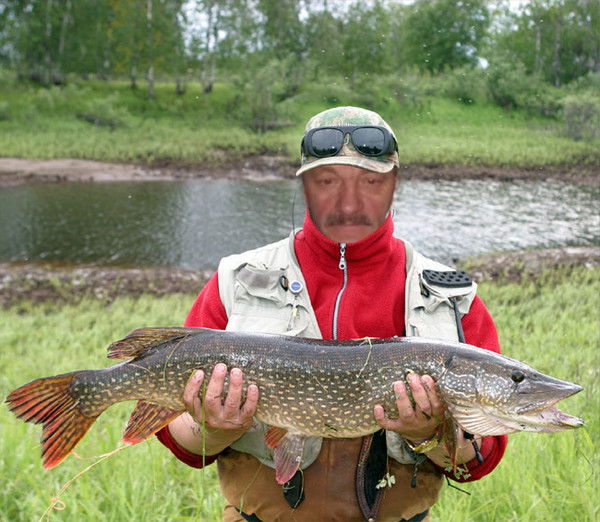 Михаил Китаев