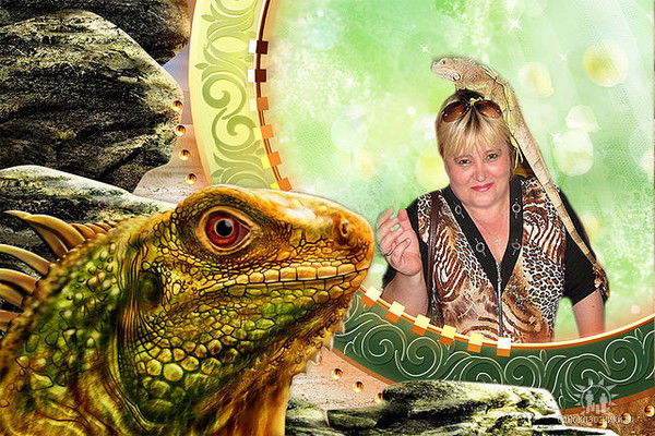 Анжелика Антипина