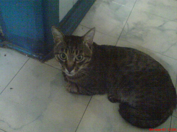 Андрей Лапшин