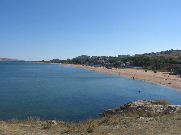 Елена Колмогорова