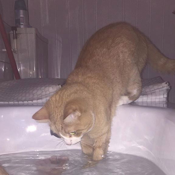 Кристина Омутова