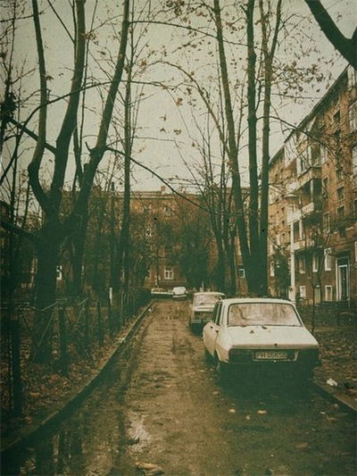 Анастасия Романько