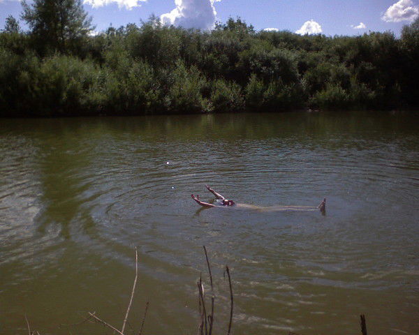 Андрей Ругно