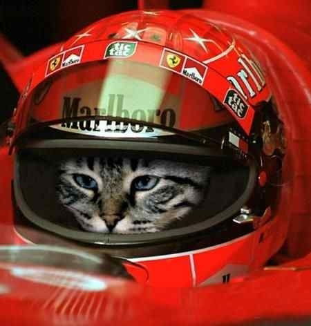 Андрей Чернышов