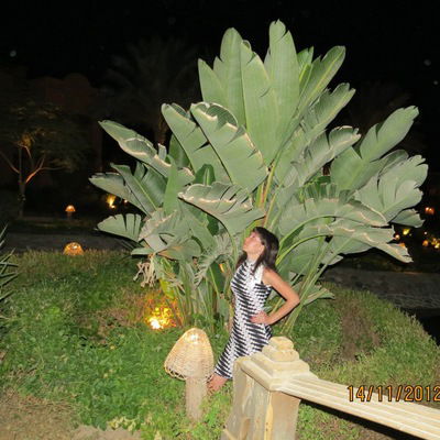 Мария Славинская