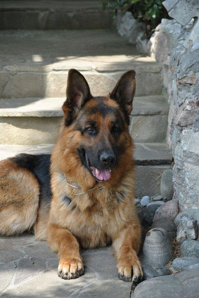 Нина Сиренко