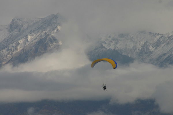 Виталий Андриянов