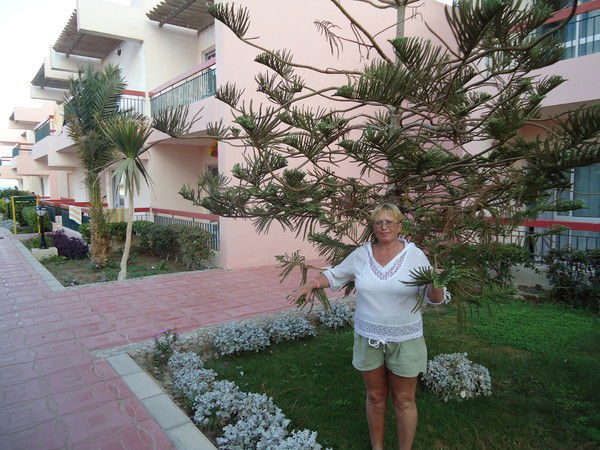 Елена Потапова